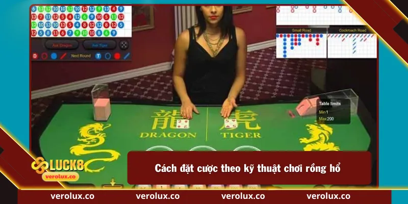 Cách đặt cược theo kỹ thuật chơi rồng hổ