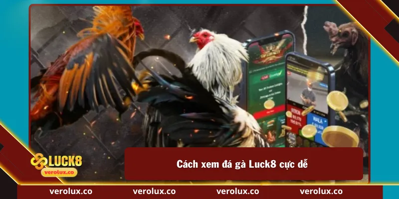 Cách xem đá gà Luck8 cực dễ