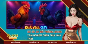 Tổng quan về hình thức đá gà mô phỏng