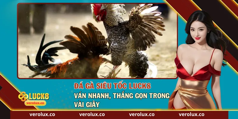 Đá Gà Siêu Tốc Luck8 – Ván Nhanh, Thắng Gọn Trong Vài Giây