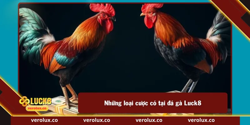 Những loại cược có tại đá gà Luck8